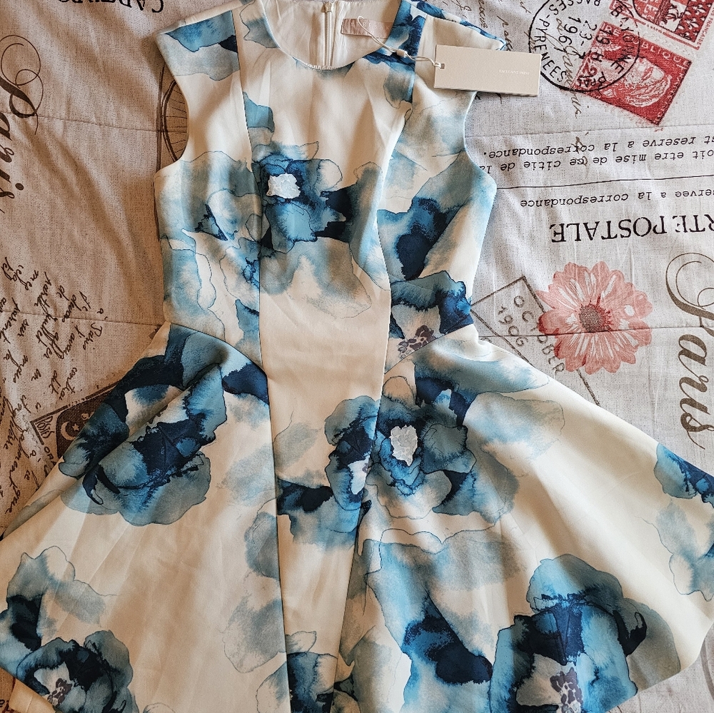 Keepsake The Label Watercolor Floral Blue and White Dress